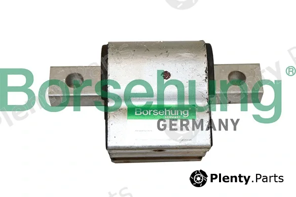 Borsehung B19077 — Mounting, engine