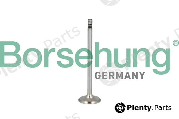 Borsehung B10346 — Piston Ring Kit