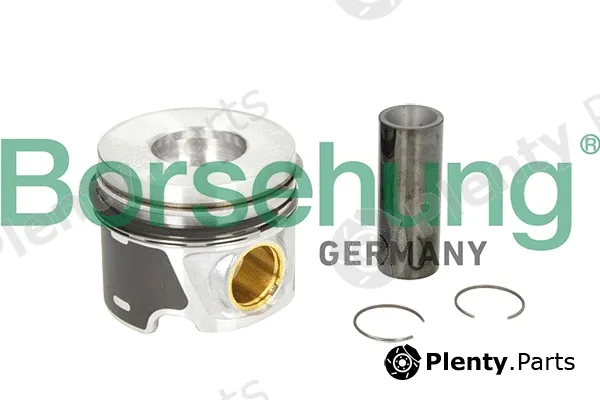 Borsehung B19300 — Piston Ring Kit