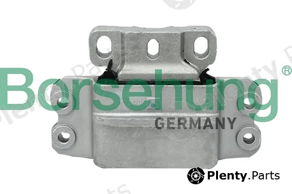 Borsehung B12272 — Mounting, engine