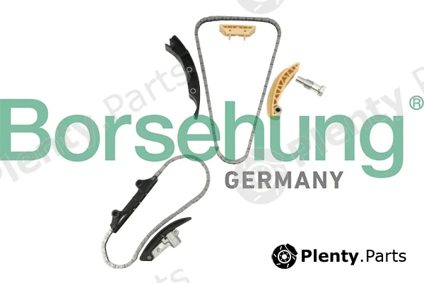 Borsehung B10207 — Timing Chain Kit