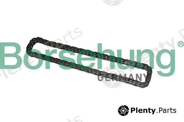 Borsehung B1C022 — Timing Chain