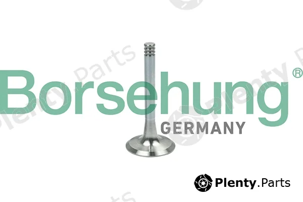 Borsehung B19002 — Exhaust Valve