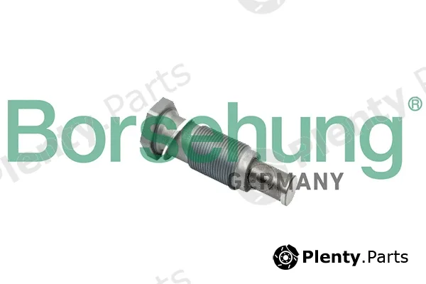 Borsehung B1T002 — Tensioner, timing chain
