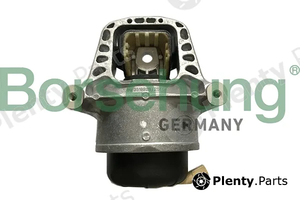 Borsehung B19133 — Mounting, engine