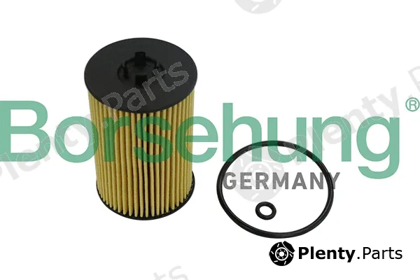 Borsehung B10532 — Oil Filter