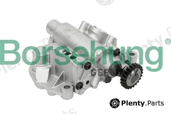 Borsehung B18737 — Oil Pump