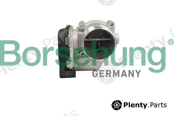 Borsehung B11106 — Throttle Body