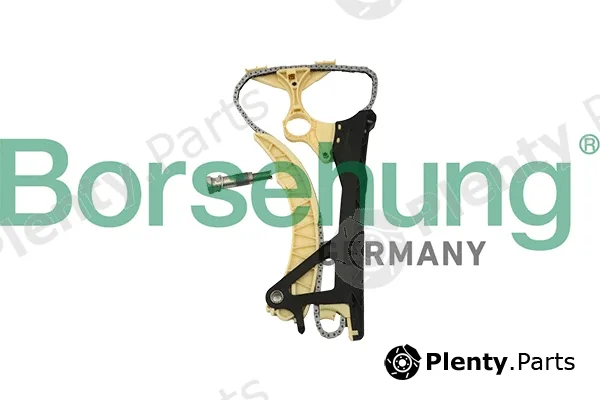 Borsehung B18854 — Timing Chain Kit