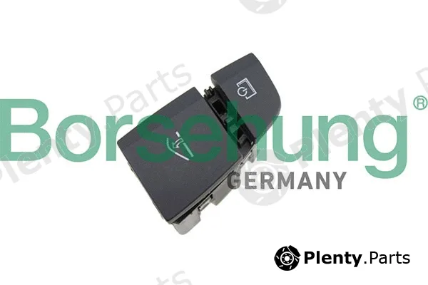 Borsehung B18569 — Multi-Function Switch