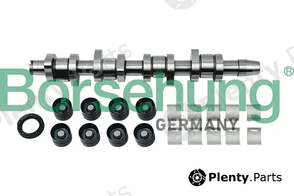Borsehung B18664 — Camshaft Kit