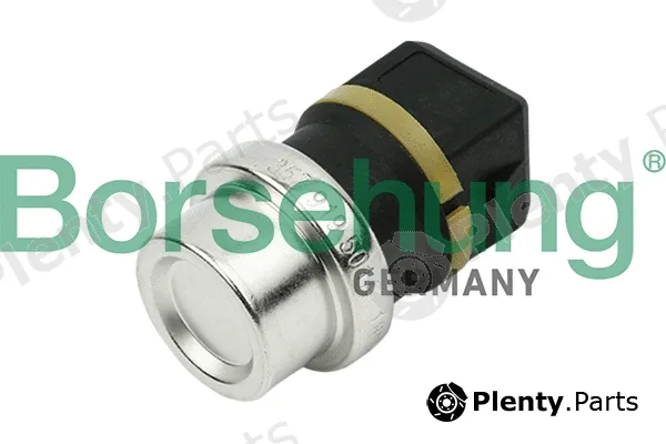 Borsehung B13134 — Sensor, coolant temperature