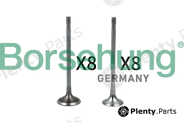 Borsehung B18633 — Valve Kit, intake/exhaust valve
