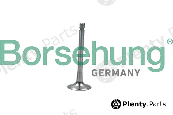 Borsehung B19008 — Exhaust Valve