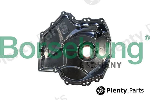 Borsehung B12189 — Cover, timing belt