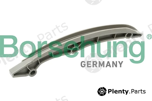 Borsehung B1G021 — Guide, timing chain