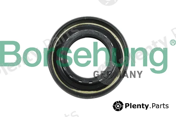 Borsehung B12194 — Shaft Seal, manual transmission