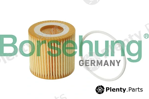 Borsehung B12219 — Oil Filter