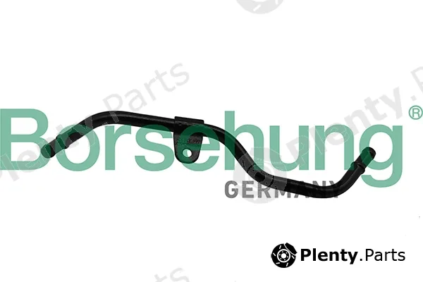 Borsehung B19265 — Coolant Pipe
