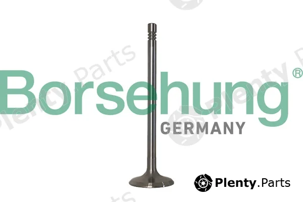 Borsehung B10347 — Piston Ring Kit