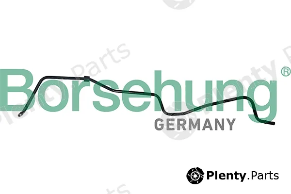 Borsehung B19264 — Hose, crankcase ventilation