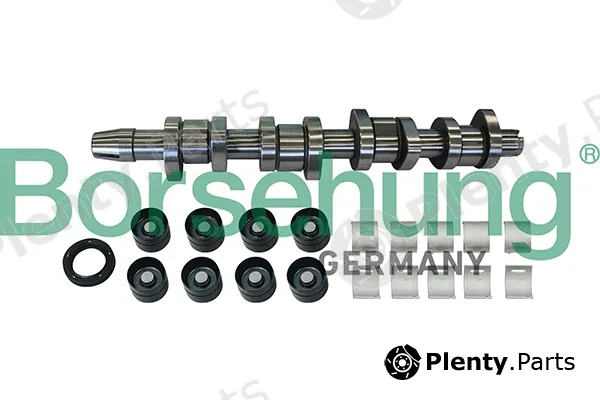 Borsehung B11307 — Camshaft Kit