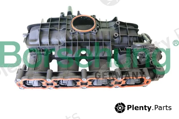 Borsehung B10665 — Intake Manifold, air supply