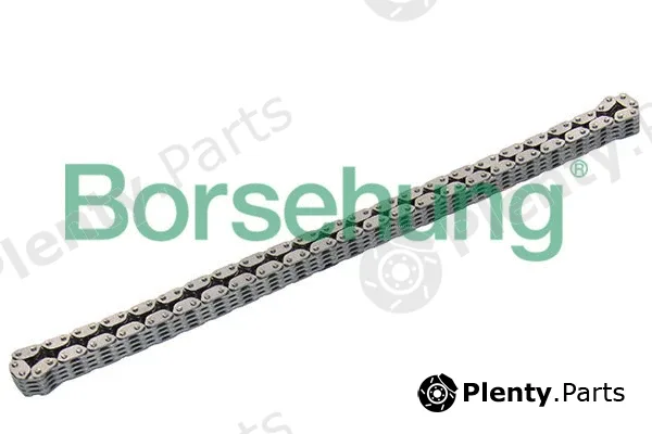 Borsehung B17878 — Timing Chain