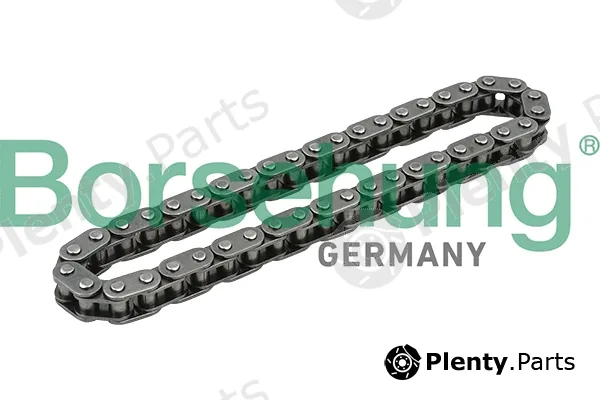 Borsehung B1C014 — Timing Chain