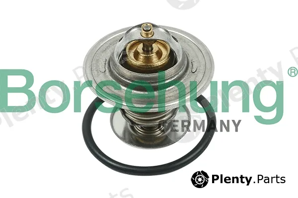 Borsehung B13141 — Thermostat, coolant