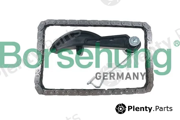 Borsehung B10251 — Timing Chain Kit