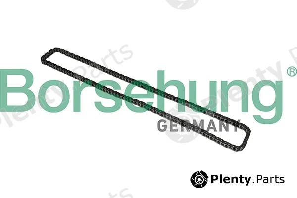Borsehung B1C023 — Timing Chain