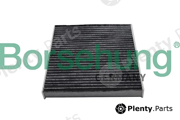Borsehung B10513 — Filter, cabin air