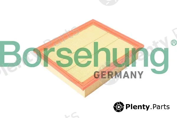 Borsehung B12365 — Air Filter