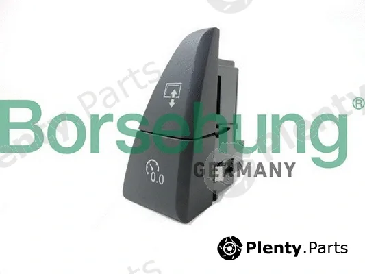 Borsehung B18599 — Multi-Function Switch