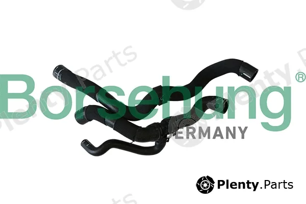 Borsehung B11974 — Radiator Hose