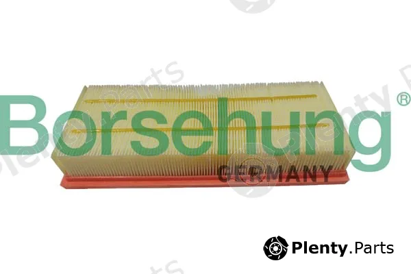Borsehung B12403 — Air Filter