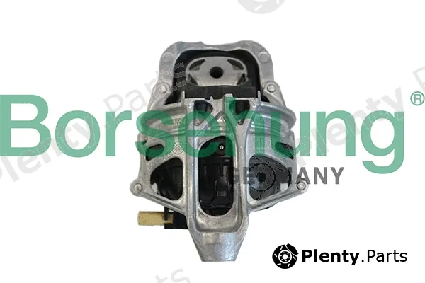 Borsehung B19202 — Mounting, engine