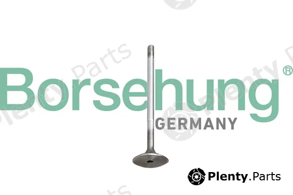 Borsehung B10345 — Piston Ring Kit
