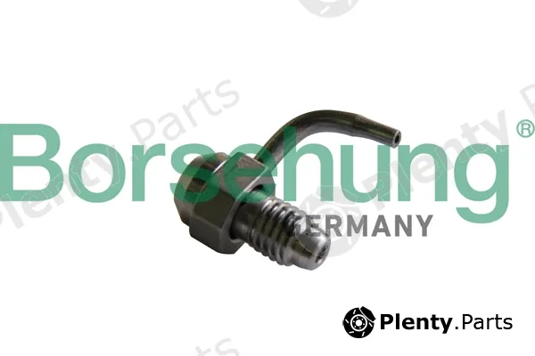 Borsehung B11161 — Holding Bracket, oil jet