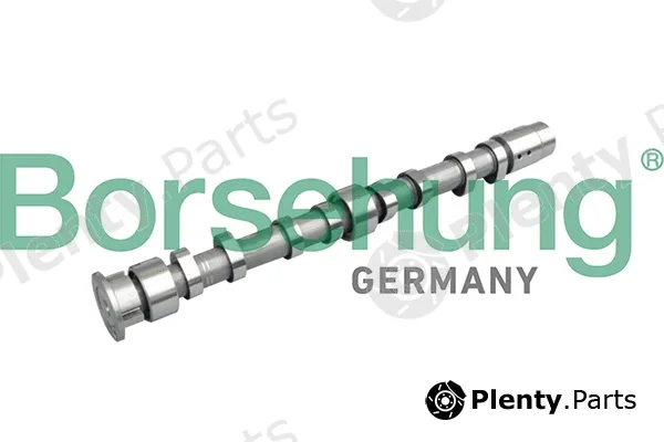 Borsehung B11313 — Camshaft