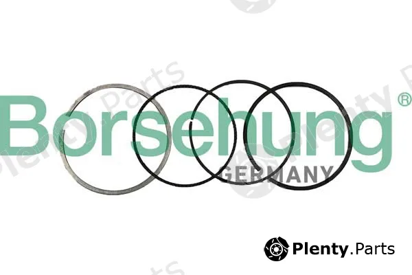 Borsehung B10370 — Piston Ring Kit