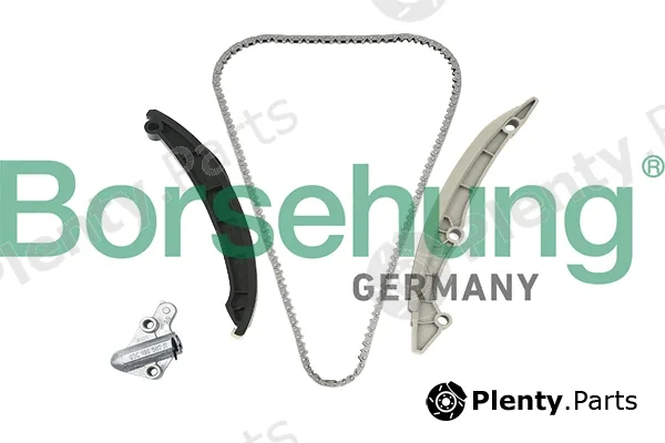 Borsehung B18982 — Timing Chain Kit