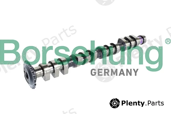 Borsehung B11315 — Camshaft