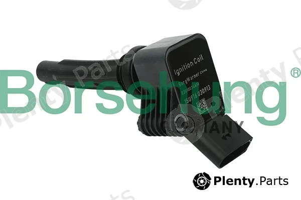 Borsehung B15118 — Ignition Coil
