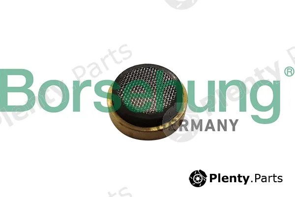 Borsehung B11897 — Strainer, oil pump suction pipe
