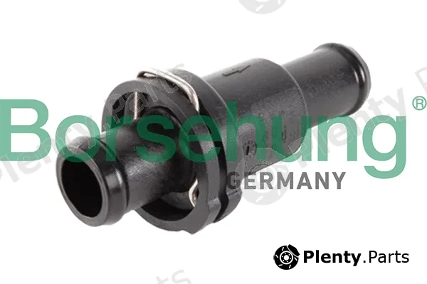 Borsehung B18776 — Thermostat, coolant
