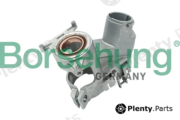 Borsehung B17981 — Steering Lock