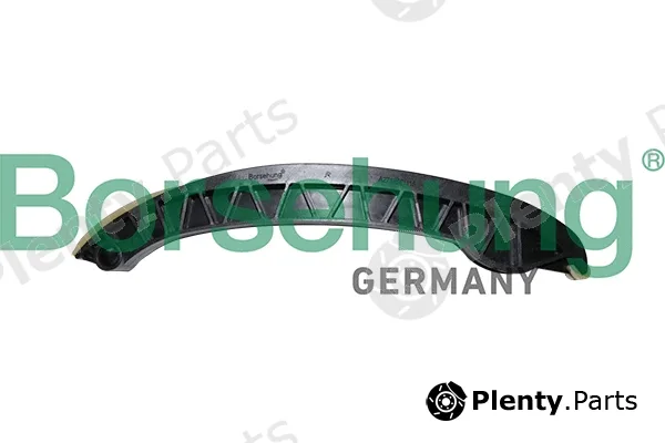 Borsehung B1G041 — Guide, timing chain