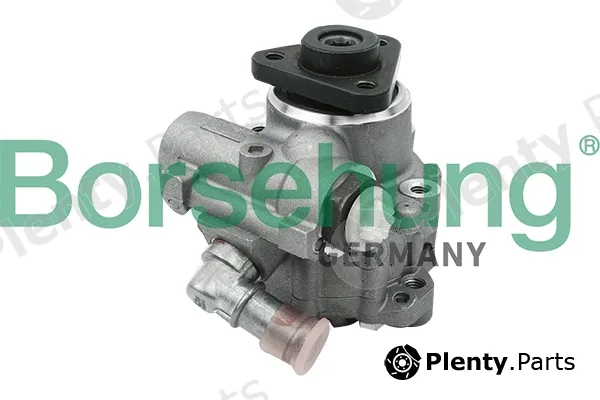 Borsehung B13208 — Hydraulic Pump, steering